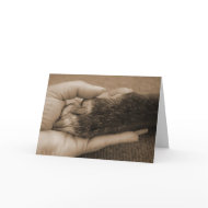 Pet loss card