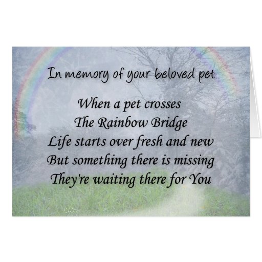 pet loss sympathy card allkdramas tk