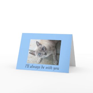 Pet Loss Sympathy: Loss of Cat card