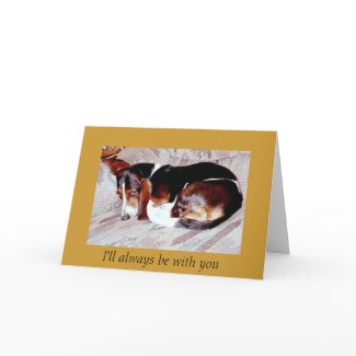 Pet Loss Sympathy: Loss of Dog Greeting Cards card