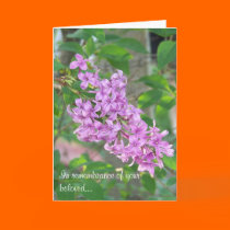 Pet Loss Sympathy Series - Lilacs cards