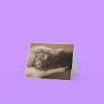 Pet Loss - Touch of an angel cards