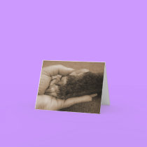 Pet Loss - Touch of an angel cards