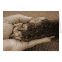 Pet Loss - Touch of an angel Cards