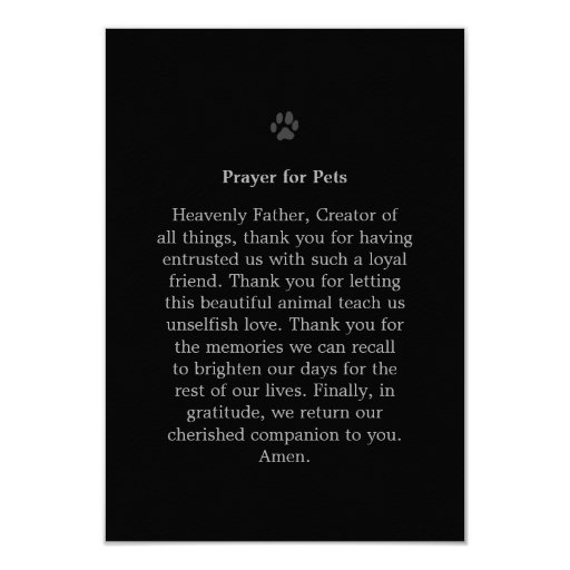 Pet Memorial Card 3.5"x5" Black Modern Photo