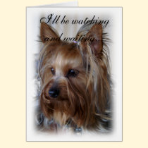 Pet Memorial Sympathy cards