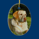 Pet Memory Ornament - Make Your Own ornaments