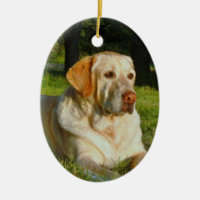 Pet Memory Ornament - Make Your Own