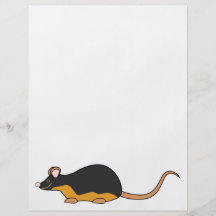 Black Pet Mouse