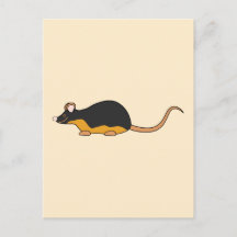 Black Pet Mouse