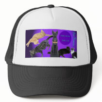 pet noizes hat