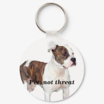 Pet, not threat keychain