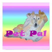 Pet Pal posters