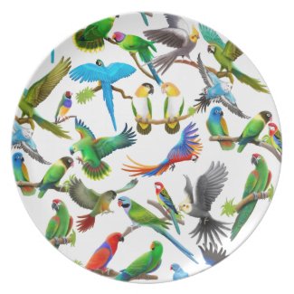 Pet Parrot Lovers Plate