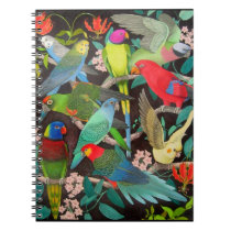 Pet Parrots of the World II Notebook