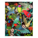 Pet Parrots of the World II Poster posters by twopurringcats Pet Parrots of the World II Poster posters