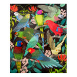 Pet Parrots of the World II Poster