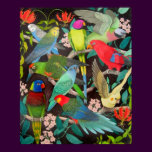 Pet Parrots of the World II Poster