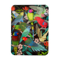 Pet Parrots of the World II Premium Magnet