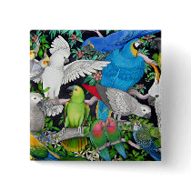 Pet Parrots of the World Pin buttons by twopurringcats Pet Parrots of the World Pin buttons