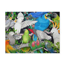 Pet Parrots of the World Postcard by twopurringcats Pet Parrots of the World Postcard