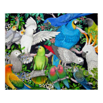 Pet Parrots of the World Poster posters by twopurringcats Pet Parrots of the World Poster posters