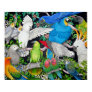 birds, parrots, cockatoo, african grey, african
