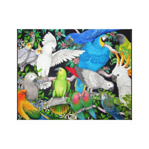Pet Parrots of the World Wrapped Canvas