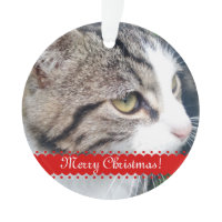 Pet photo Christmas ornament | Upload your images