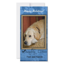 Pet Photo Template - Naughty or nice photo cards