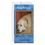 Pet Photo Template - Naughty or nice Personalized Photo Card