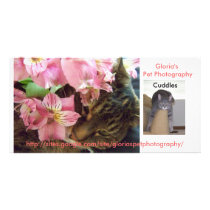 Pet Photography photo card advertisement photo cards