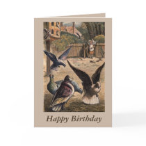 Pet Pigeons Young Girl on Farm Birthday Card