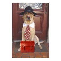 Pet Products Rep posters