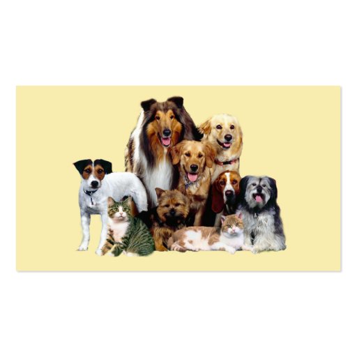 Pet Products & Services Business Card
