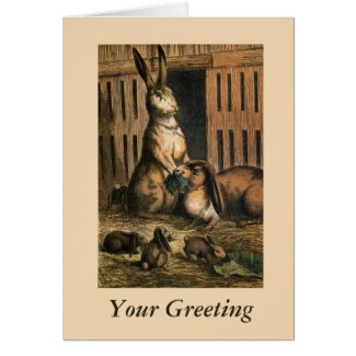 Pet Rabbits and Baby Bunnies Eating Card card