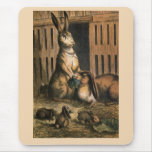 Pet Rabbits and Baby Bunnies Eating Mouse Pads