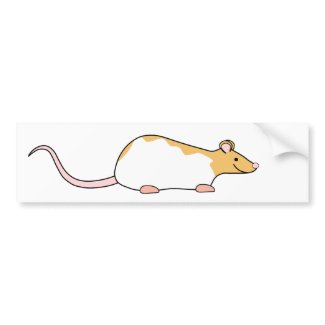 Pet Rat. Cinnamon and White, Hooded Variegated. zazzle_bumpersticker