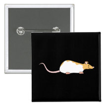 Pet Rat. Cinnamon and White, Hooded Variegated. Pins