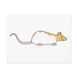 Pet Rat. Cinnamon and White, Hooded Variegated. postcards