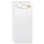 Pet Rat. Cinnamon and White, Hooded Variegated. rack cards
