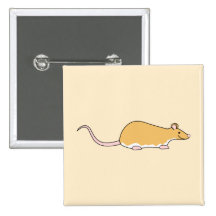 Pet Rat. Cinnamon Berkshire, White Belly. Button