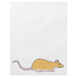 Pet Rat. Cinnamon Berkshire, White Belly. flyers