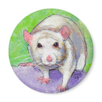 Pet rat cute colorful acrylic painting white rats magnets
