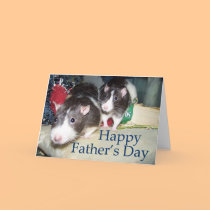 Pet Rat Father's Day Card cards
