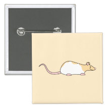 Pet Rat. Fawn and White Hooded Variegated. Pinback Button