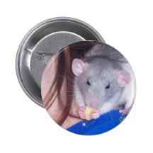 Pet Rat Pinback Button