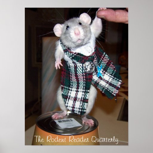 pet_rat_ruby_poster_kilt-ra3dd1eef3a1f47
