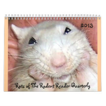 Pet Rats 2013 Calendar C