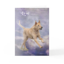 Pet Rescue 4 Card